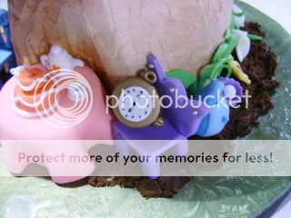 Alice in Wonderland Cake- Details