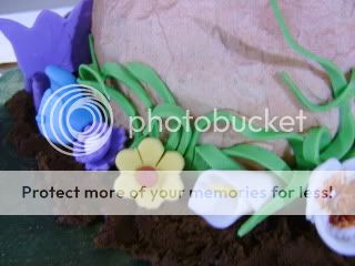 Alice in Wonderland Cake- Details