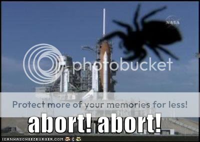 ABORT.jpg