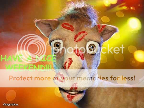 [img width=601 height=450]http://i449.photobucket.com/albums/qq213/gi598/niceweekend.jpg[/img]