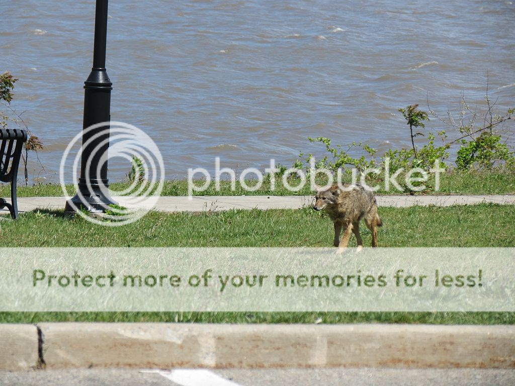 IMAGE: http://i449.photobucket.com/albums/qq214/dap2230/IMG_1890.jpg