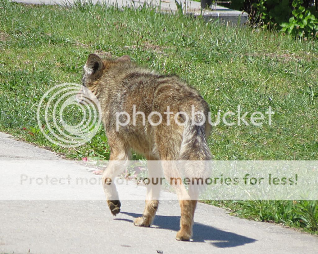 IMAGE: http://i449.photobucket.com/albums/qq214/dap2230/IMG_1893.jpg