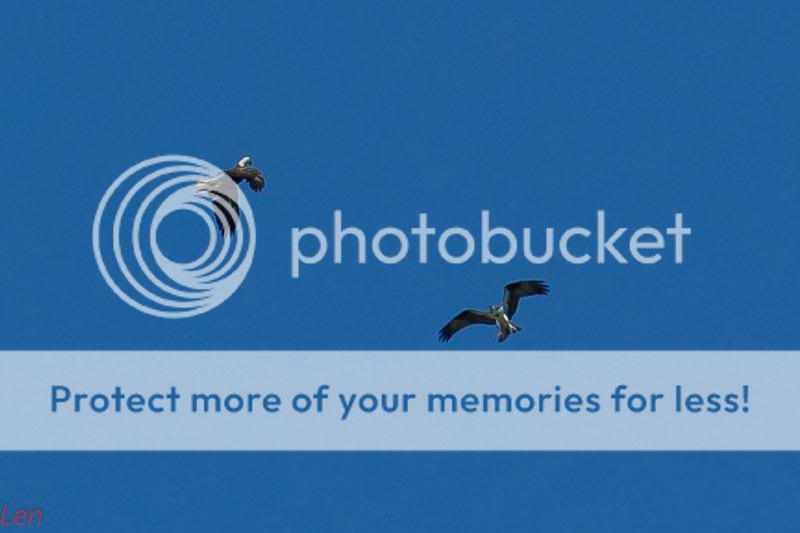 IMAGE: http://i449.photobucket.com/albums/qq214/dap2230/IMG_8942-2_zps3ae27715.jpg