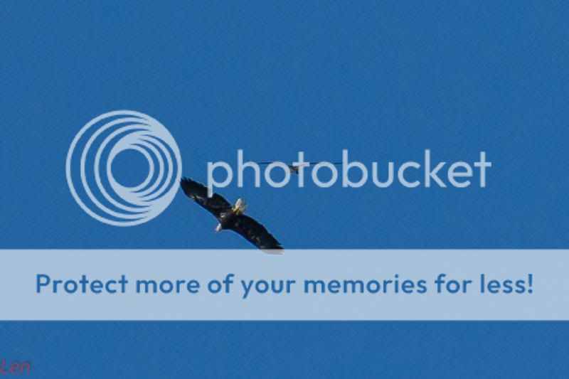 IMAGE: http://i449.photobucket.com/albums/qq214/dap2230/IMG_8944-4_zps7908c9de.jpg