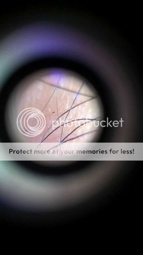 Dọn nhà lai rai update hàng ngày - 10