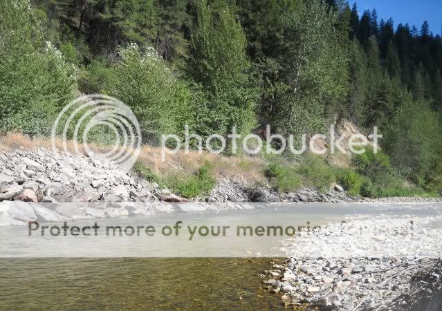 Posted Image