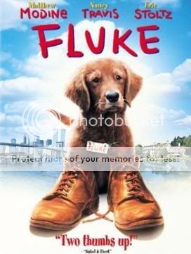 fluke.jpg