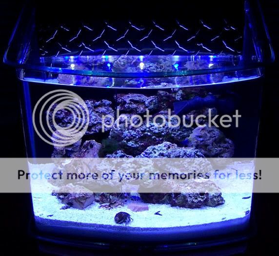 Posted Image
