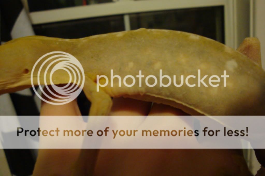 camera423.jpg